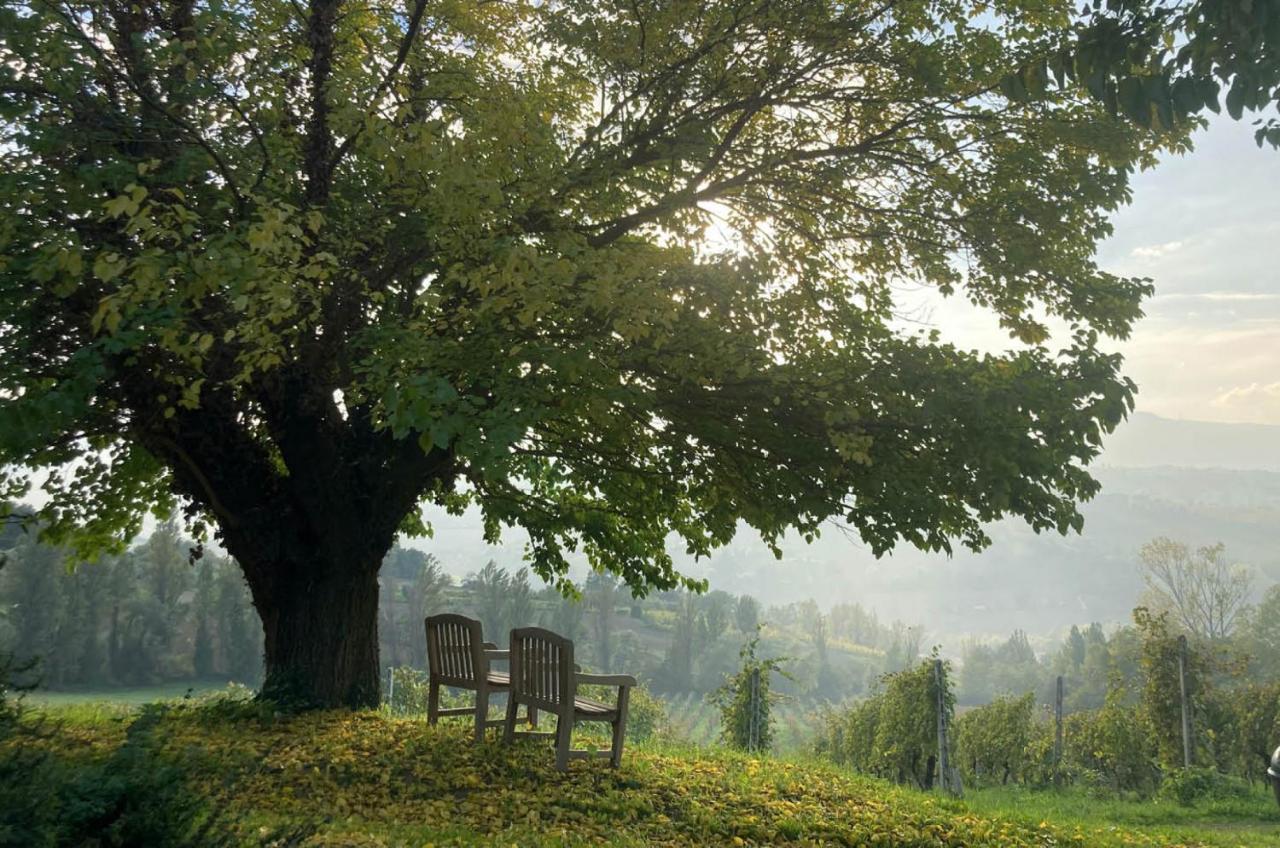 Villa Verdicchio - B&B With Wellness For Winelovers Cupramontana Buitenkant foto