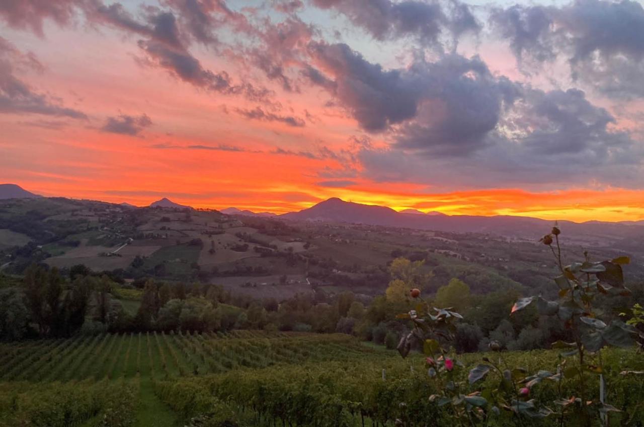 Villa Verdicchio - B&B With Wellness For Winelovers Cupramontana Buitenkant foto
