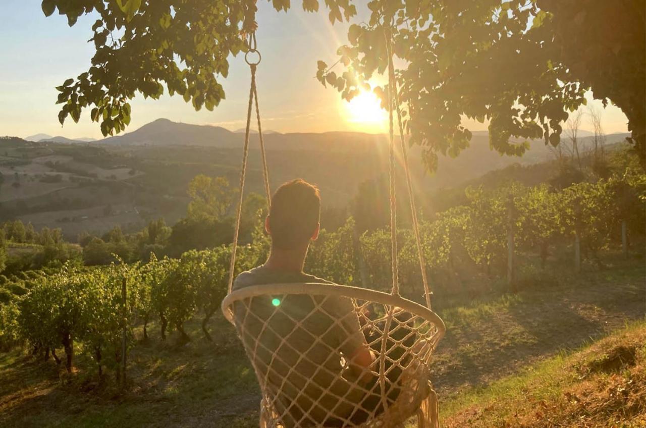 Villa Verdicchio - B&B With Wellness For Winelovers Cupramontana Buitenkant foto