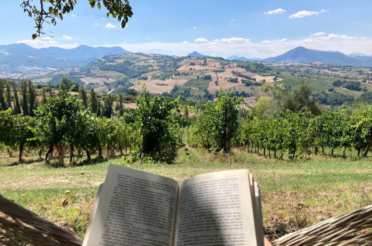 Villa Verdicchio - B&B With Wellness For Winelovers Cupramontana Buitenkant foto
