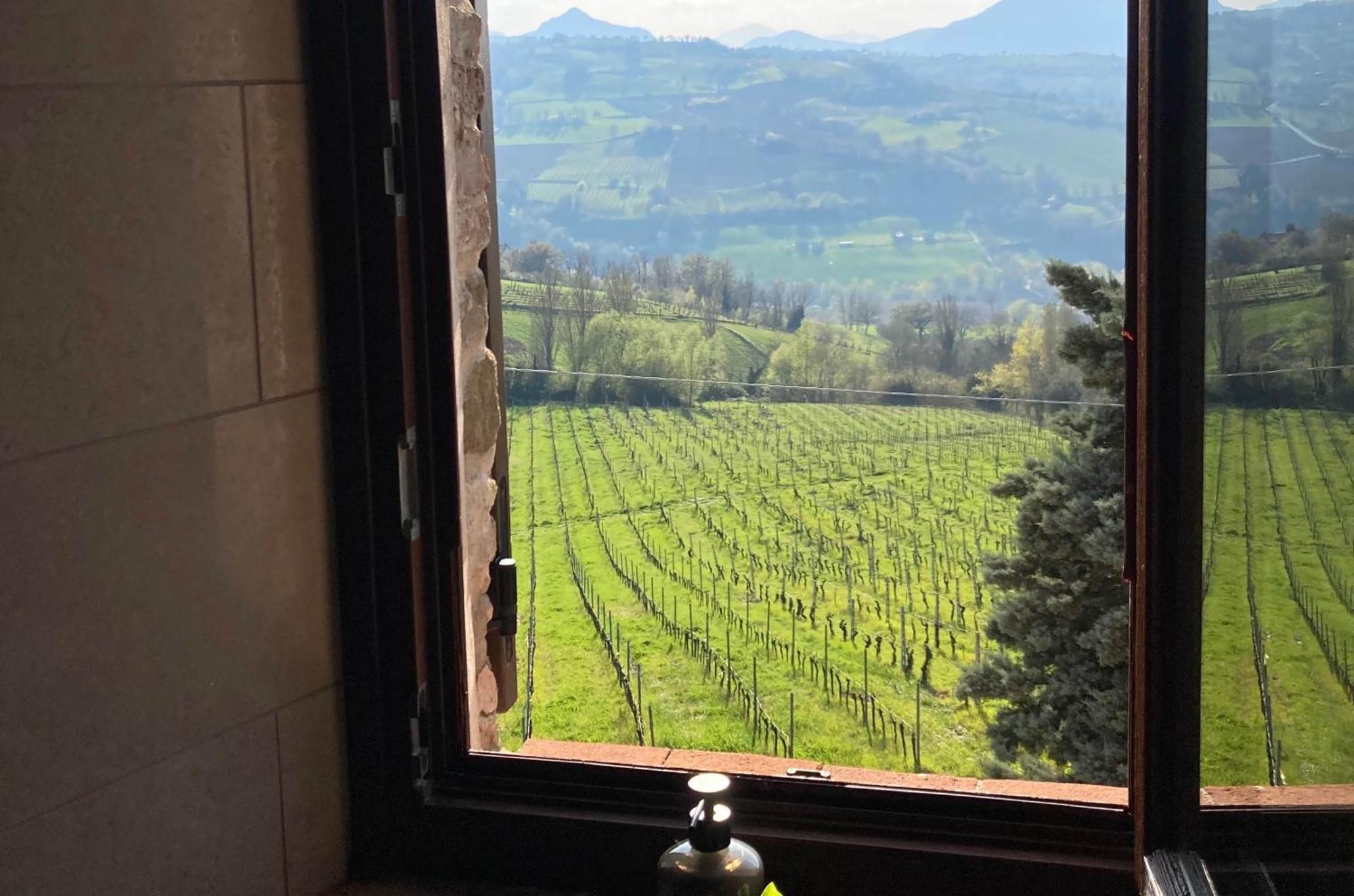 Villa Verdicchio - B&B With Wellness For Winelovers Cupramontana Kamer foto