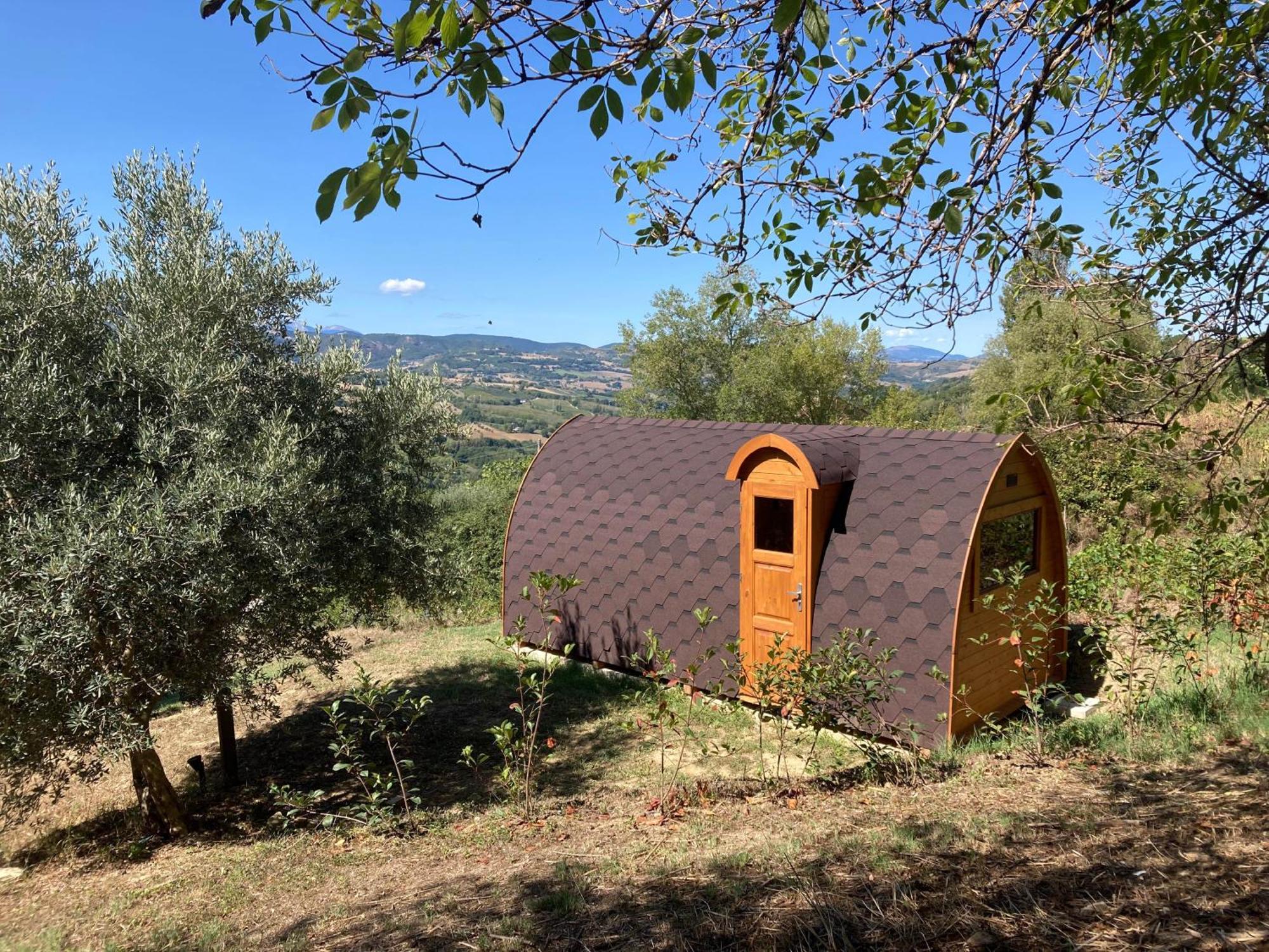 Villa Verdicchio - B&B With Wellness For Winelovers Cupramontana Buitenkant foto