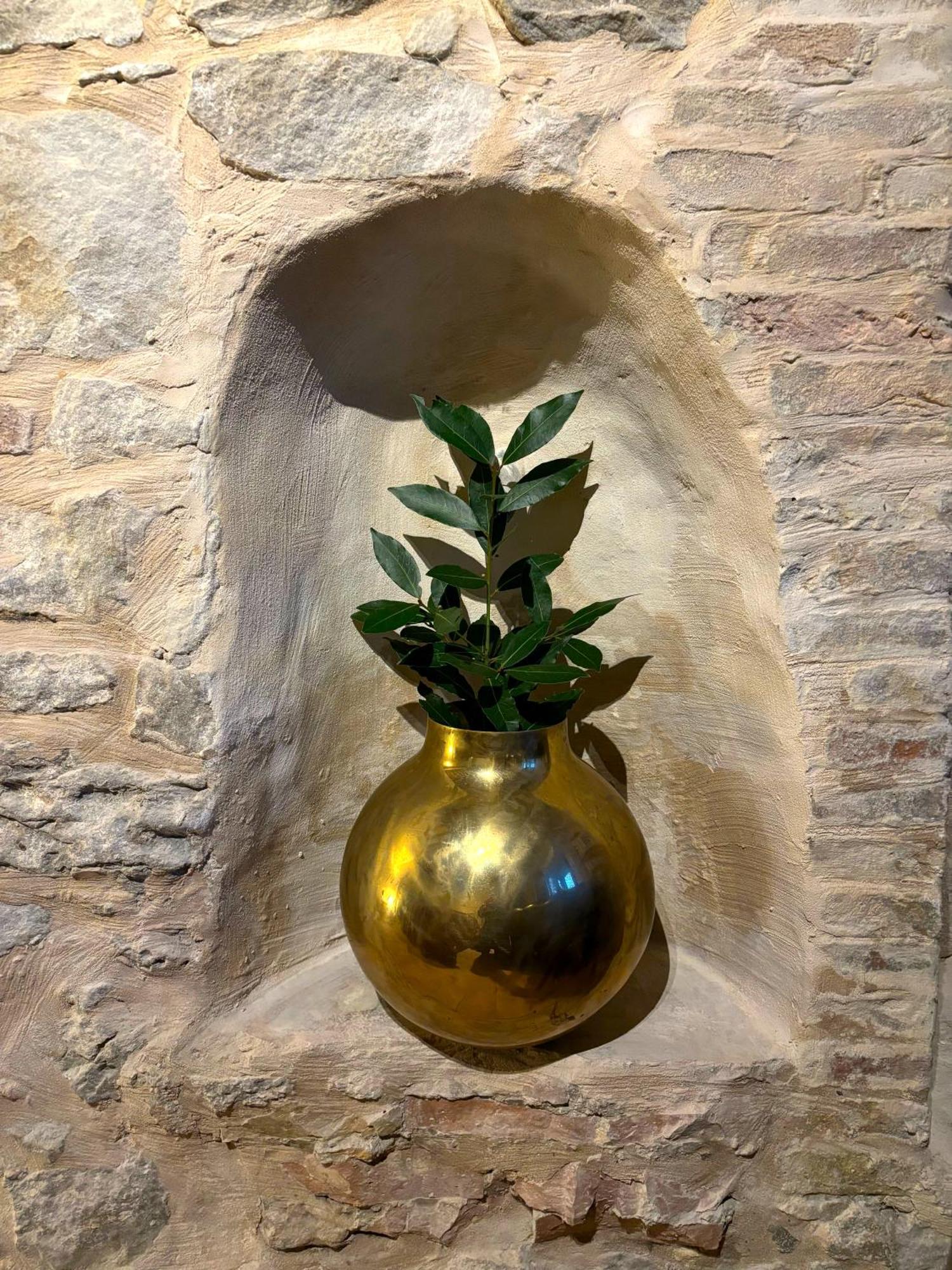Villa Verdicchio - B&B With Wellness For Winelovers Cupramontana Buitenkant foto